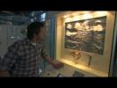 Museum Of Life: Collection For The Future (BBC) 6/6