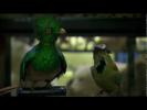 Museum Of Life: Creatures Great & Small (BBC) 3/6